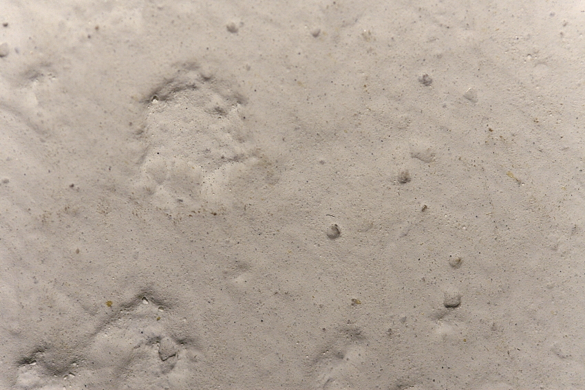 49&deg; 36' 35.6532"N 6&deg; 8' 5.7173"E