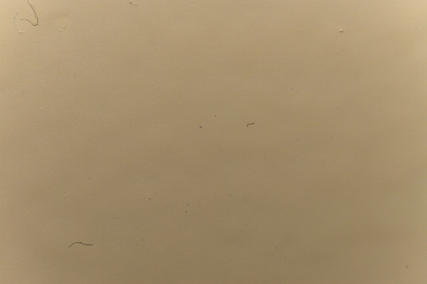 49&deg; 36' 35.7939"N 6&deg; 8' 5.7317"E