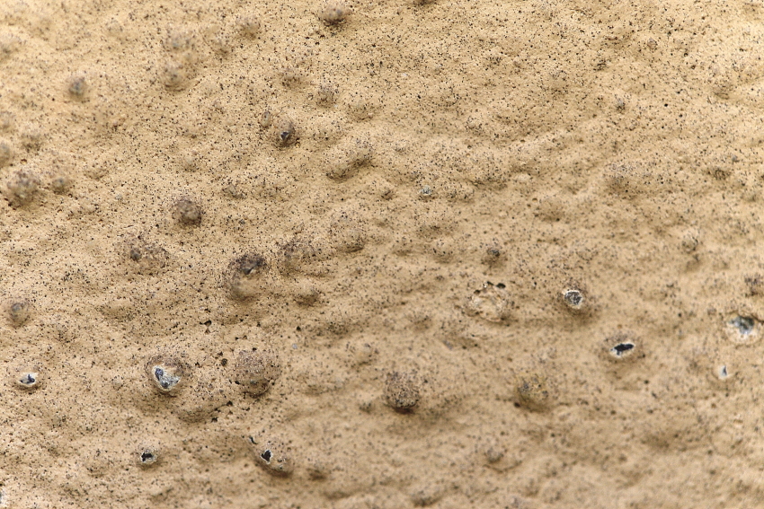 49&deg; 36' 36.0661"N 6&deg; 8' 5.3841"E