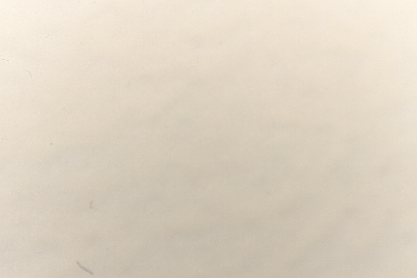 49&deg; 36' 36.3696"N 6&deg; 8' 5.4179"E The Wall Archives