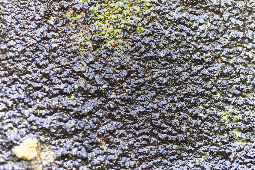 49&deg; 36' 36.7387"N 6&deg; 8' 4.7999"E The Wall Archives