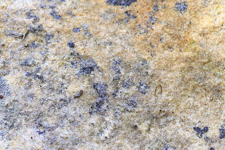 49&deg; 36' 36.8169"N 6&deg; 8' 4.0323"E The Wall Archives