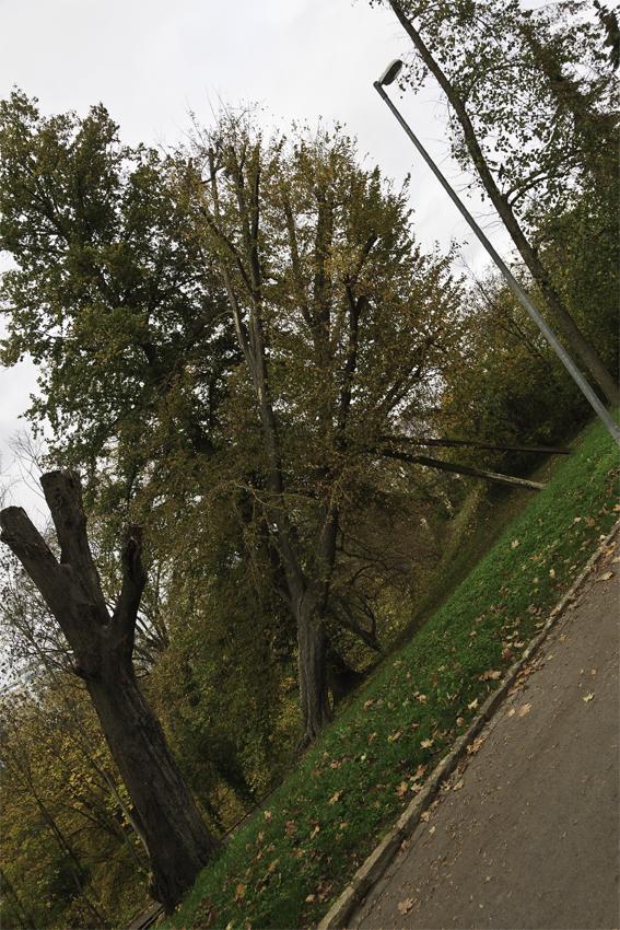 luxembourg en pandémie