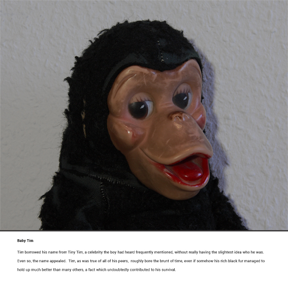 Teddy Reality Baby Tim