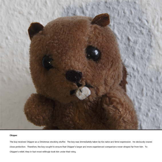 Teddy Reality Chipper