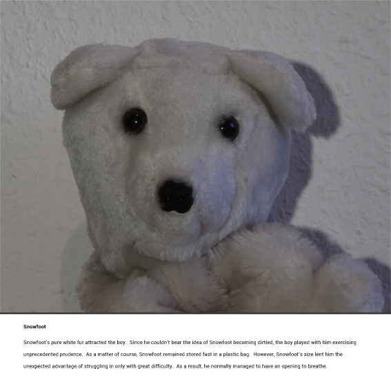 Teddy Reality Snowfoot