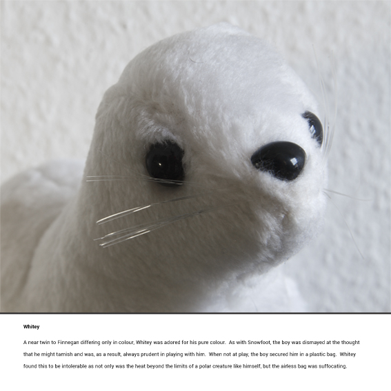 Teddy Reality Whitey