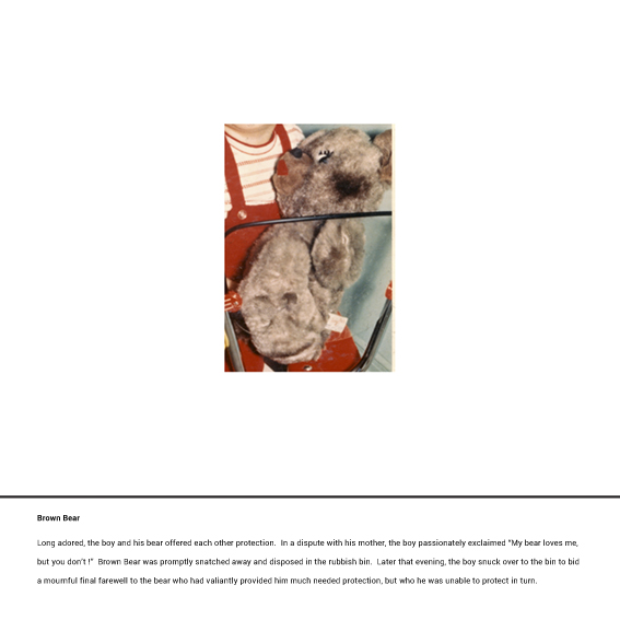 Teddy Reality Brown Bear