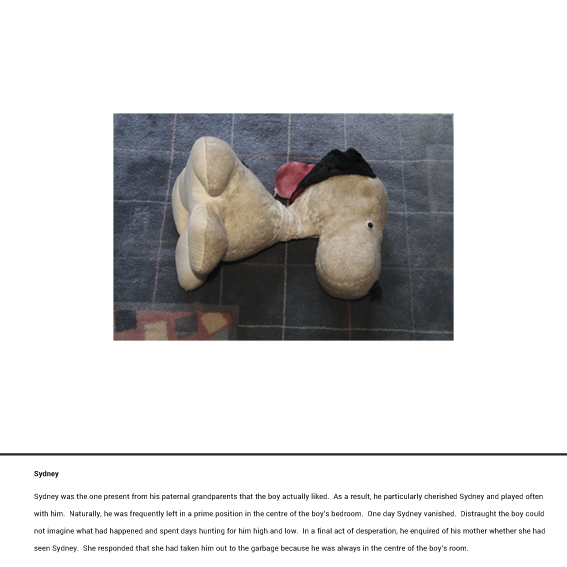 Teddy Reality Sydney